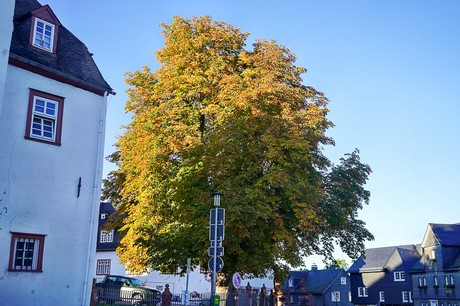 Bad Berleburg